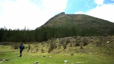 A man with a hood and backpack walking trekking between pine trees and mountains Stockbeeldmateriaal 164596242