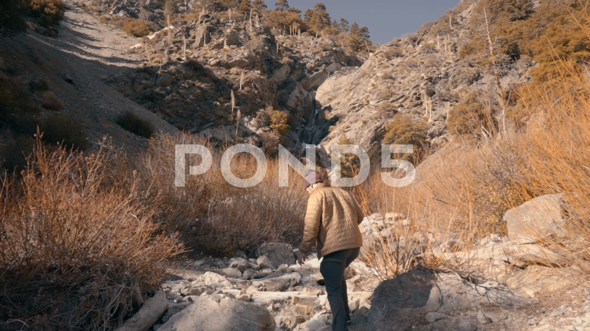 Man hopping on rocks up a riverbed in th, Stock Video