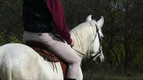 Man on horse 1 Video stock 82070888
