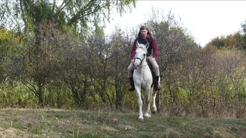 Man on horse 2 Video stock 82071165