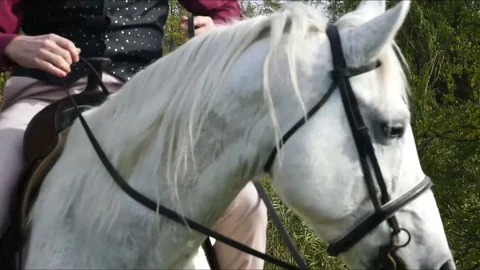 Man on horse 5 Video stock 82077418