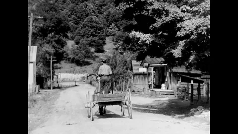 Horse Driving Stock Footage ~ Royalty Free Stock Videos | Pond5