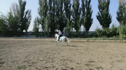 Man on a horse. Stock Footage 8851669