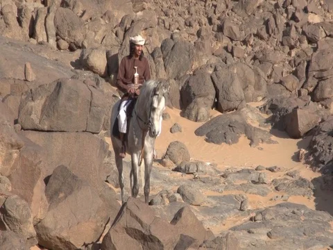 Man on horse Stock Footage 112775963