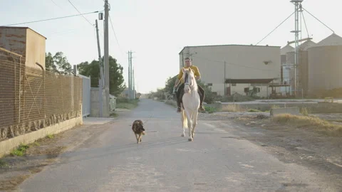 Man is horse riding while walking his dog next to a farm. Shot during golden Stock Footage 208385323
