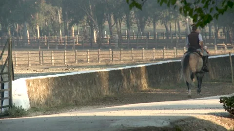 Man on a horse-Spain 動画素材 148579947