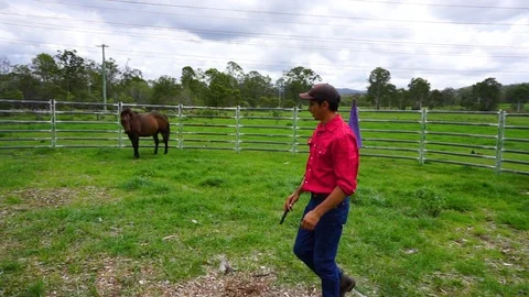 Man horse trainer works to train wild horse in round enclosure, slow motion Stock Footage 124350307