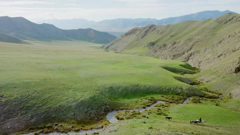 Man on horseback Stock Footage 235106649