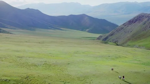 Man on horseback Stock Footage 235106664