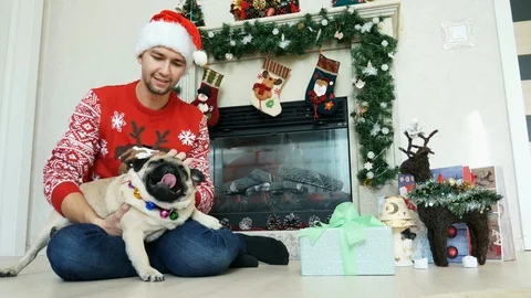 Man hug and stroking funny pug dog in christmas costume, gifts and decor in the Stock Footage 118834896