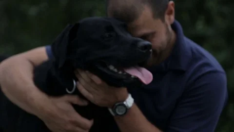 The man hugged the dog Vídeo Stock 77043691