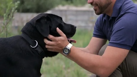 The man hugged the dog Vídeo Stock 77043981