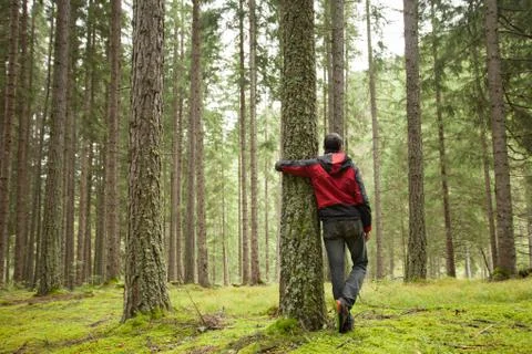 A man hugging a tree in the woods Stock Photos