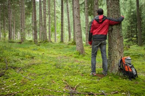 A man hugging a tree in the woods Stock-Fotos
