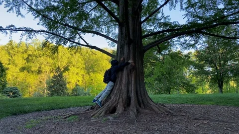 A man hugs a tree in Brookside Gardens Stock Footage 129722552