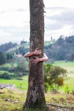 Man hugs tree Stock Photos