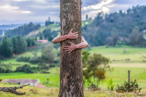 Man hugs tree Stock Photos