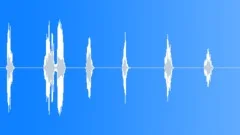 Man Huh Respond Wondered Reaction 6 Sounds Sound Effect