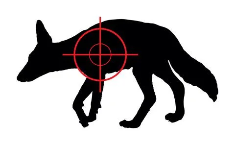 Man hunter with sight sniper rifle aims at jackal vector silhouette Stock Illustration