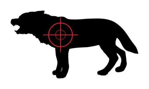 Man hunter with sight sniper rifle aims at wolf vector silhouette Stock Illustration