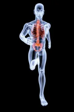 Man Illustrazione stock