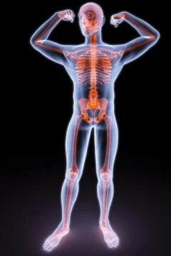 Man Ilustração Stock