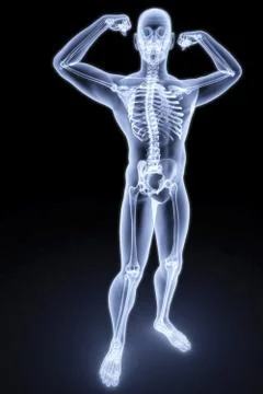 Man Stock Illustration