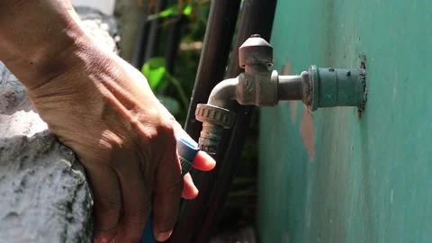 Man is inserting a blue hose with the faucet to watering the tree Stock Footage 146307189