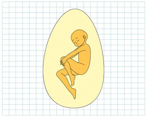 Man Inside Giant Egg Surreal Concept Illustration Stock Illustration