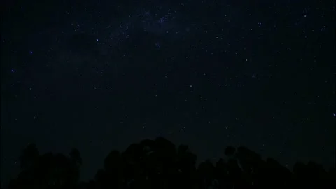 Man inside tent at camp	 Stock Footage 163986052