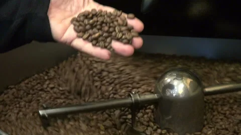 Man inspecting and roasting coffee beans, commercial coffee roaster Stock Footage 32355260
