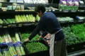 Man Inspecting Green Beans In Produce Footage
