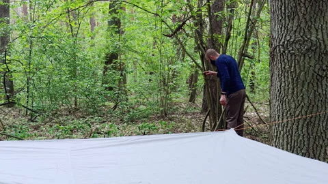 Man inspecting tree branch for campsite tarp shelter rope setup Stock Footage 336970113