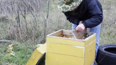 A man inspects bee hive before winter 動画素材 56747794