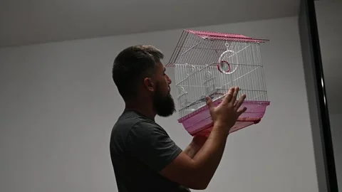 A man inspects a cage and a parrot in it, a pet in the house. Stock Footage 345645430