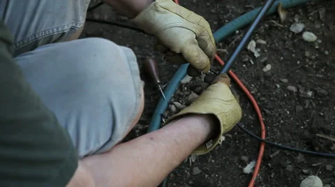 Man installing backyard drip system Stock Footage 41020949