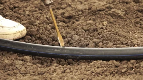 Man installing drip irrigation system. Close Up. Stock Footage 243708445