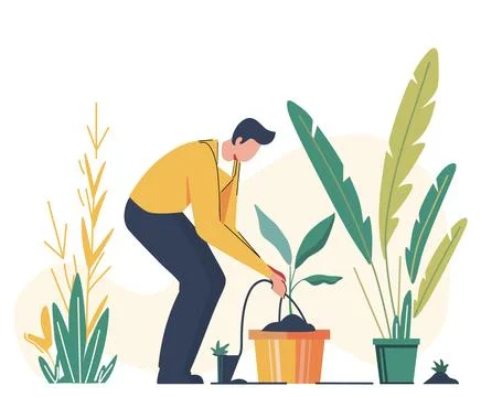 A man installing a drip irrigation system in the plant pot flat vector illustrat Stock Illustration