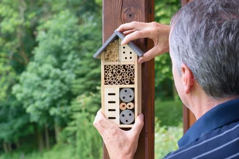 Man installing insect hotel. Environmental conservation - insect house. Фото