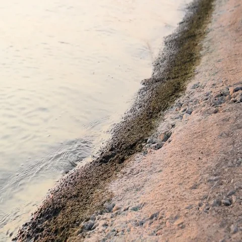 Man installs action camera on shore Stock Footage 69443975