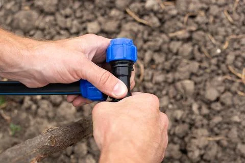A man installs an automatic drip irrigation system for his garden. Fixing a.. Stock Photos