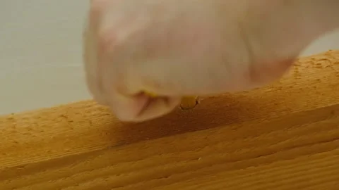 Man installs wall plug with hammer detecting deformation of item Stock Footage 304403818