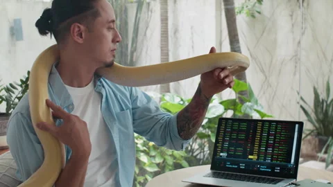 Man Interacting with Albino Pet Snake while Analyzing Data on Laptop Stock Footage 304543758