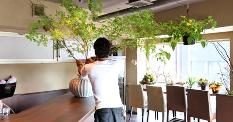 Man interier designer with flowers 스톡 동영상 161960708