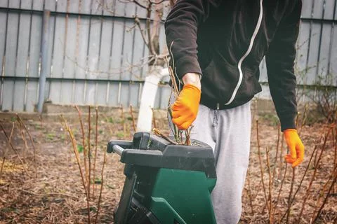 A man interrupts the dry branches of a tree into a tyrsa. Stock Photos