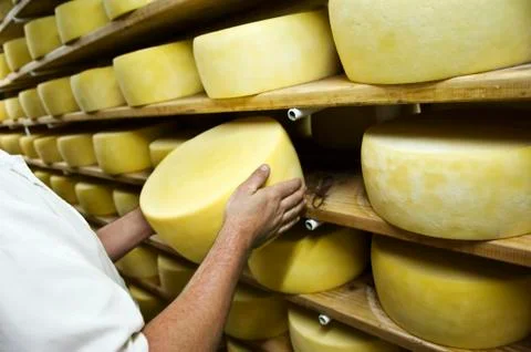 Man isnspecting cheese Stock Photos