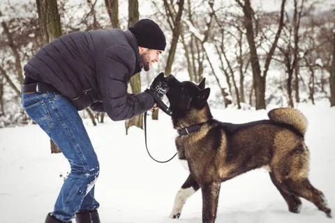 A man in a jacket and a knitted hat walks with an American Akita dog Stock Photos