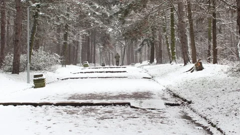 Man in jacket walking on trail on cold winter day Stock Footage 147116980