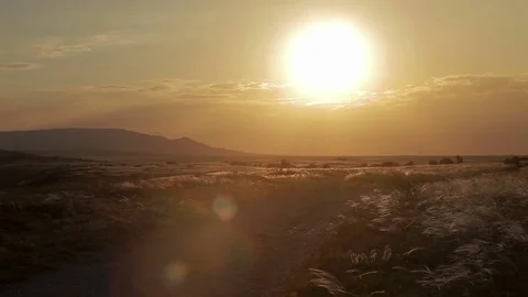 A man in jeans and a jacket walking along the road at sunset Stock Footage 76461553