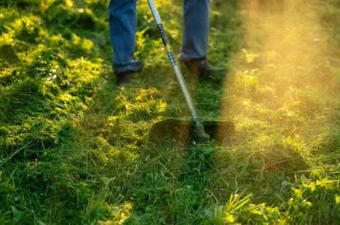 Man in jeans using grass trimmer for lawn care in backyard garden Stock Photos